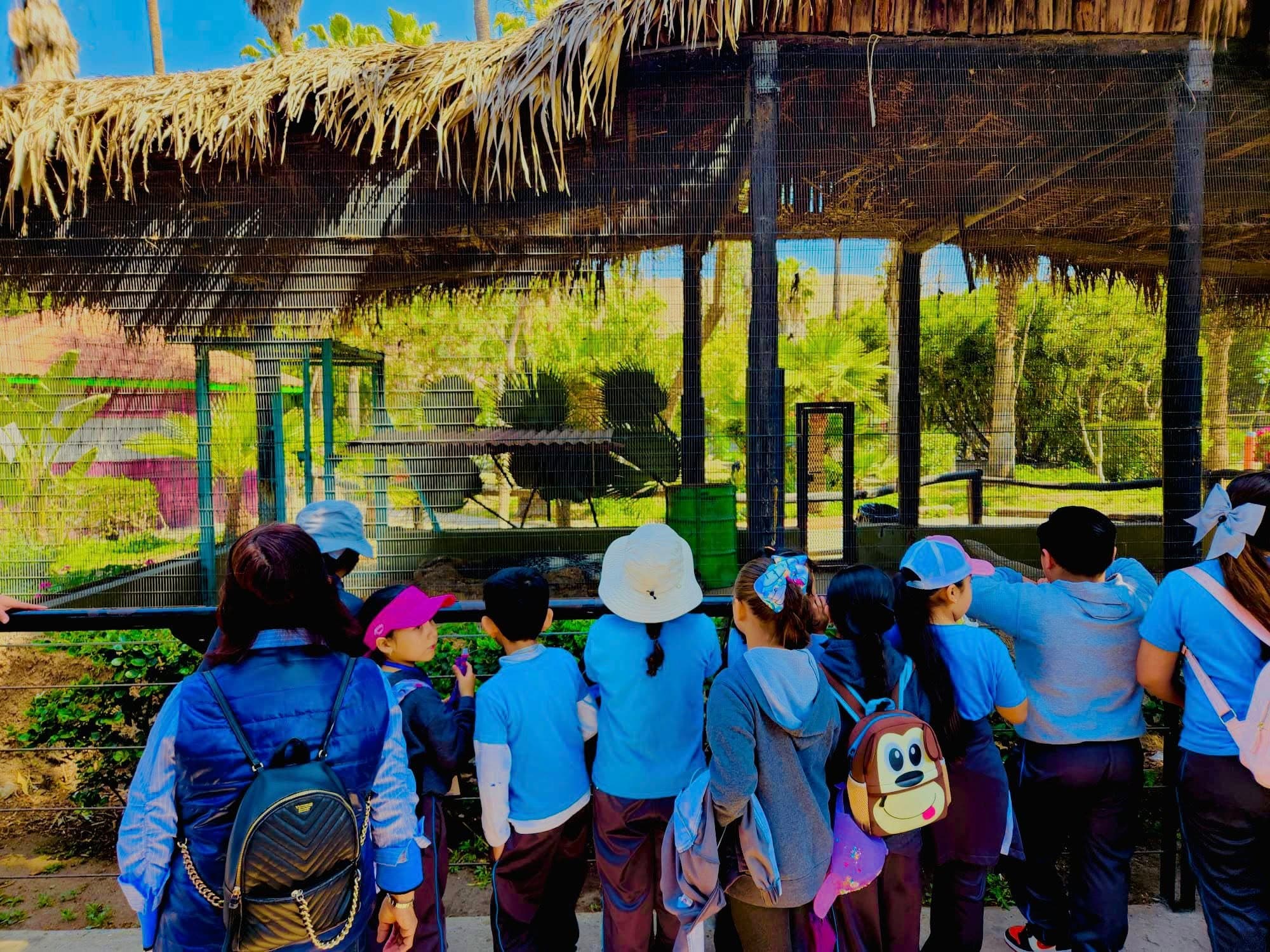 Grupo de alumnos en dinamica de aprendizaje